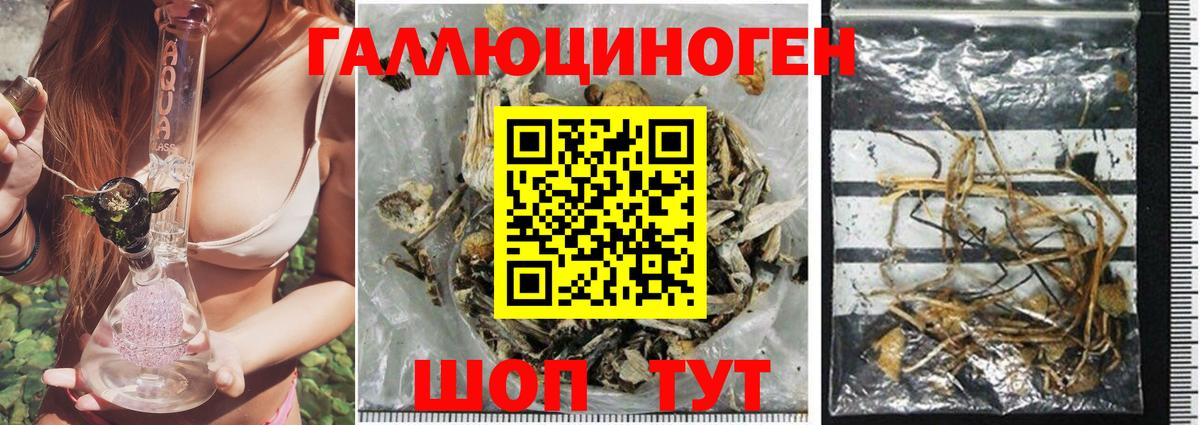 Выкса  Галлюциногенные грибы Psilocybe  Псилоцибиновые грибы мицелий  Вход с VPN 