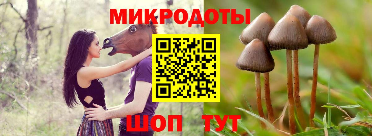 Псилоцибиновые грибы MAGIC MUSHROOMS Выкса